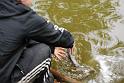 Manor Farm Coarse Fishing Anglers of the Future (62)